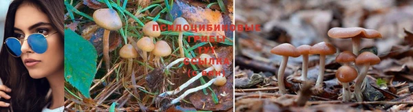 амфетамин Баксан