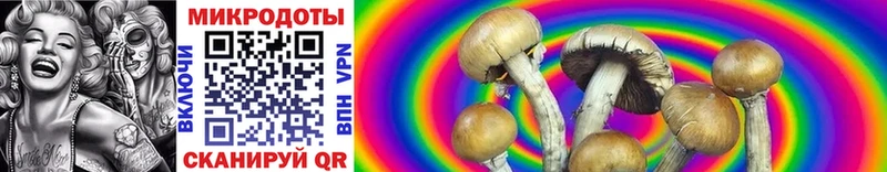 Псилоцибиновые грибы Cubensis  Купить закладки  Гороховец 